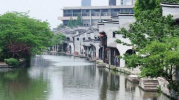 《火影忍者》里朝为孔雀昼为虎下一句是什么形容凯的?- 专业有问必答平台